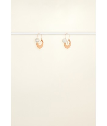 Small Facet Hoop Earrings - Copper and Silver Amélioration de cerveau avec